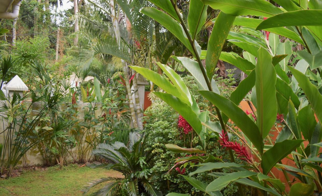 Sunbird Bungalow Anse Boileau Extérieur photo